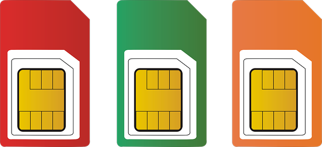 dz09 invalid sim