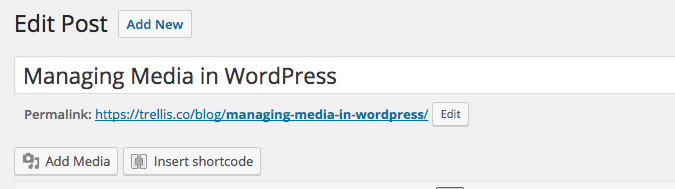 Managing Media in WordPress