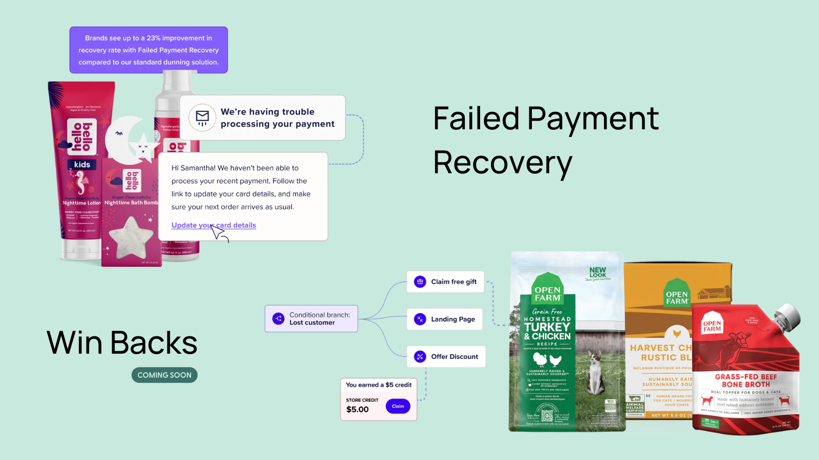 Image illustrating strategies for recovering failed payments and winning back customers. Features products like skincare and pet food, and messages for updating payment details, along with upcoming features for customer re-engagement.
