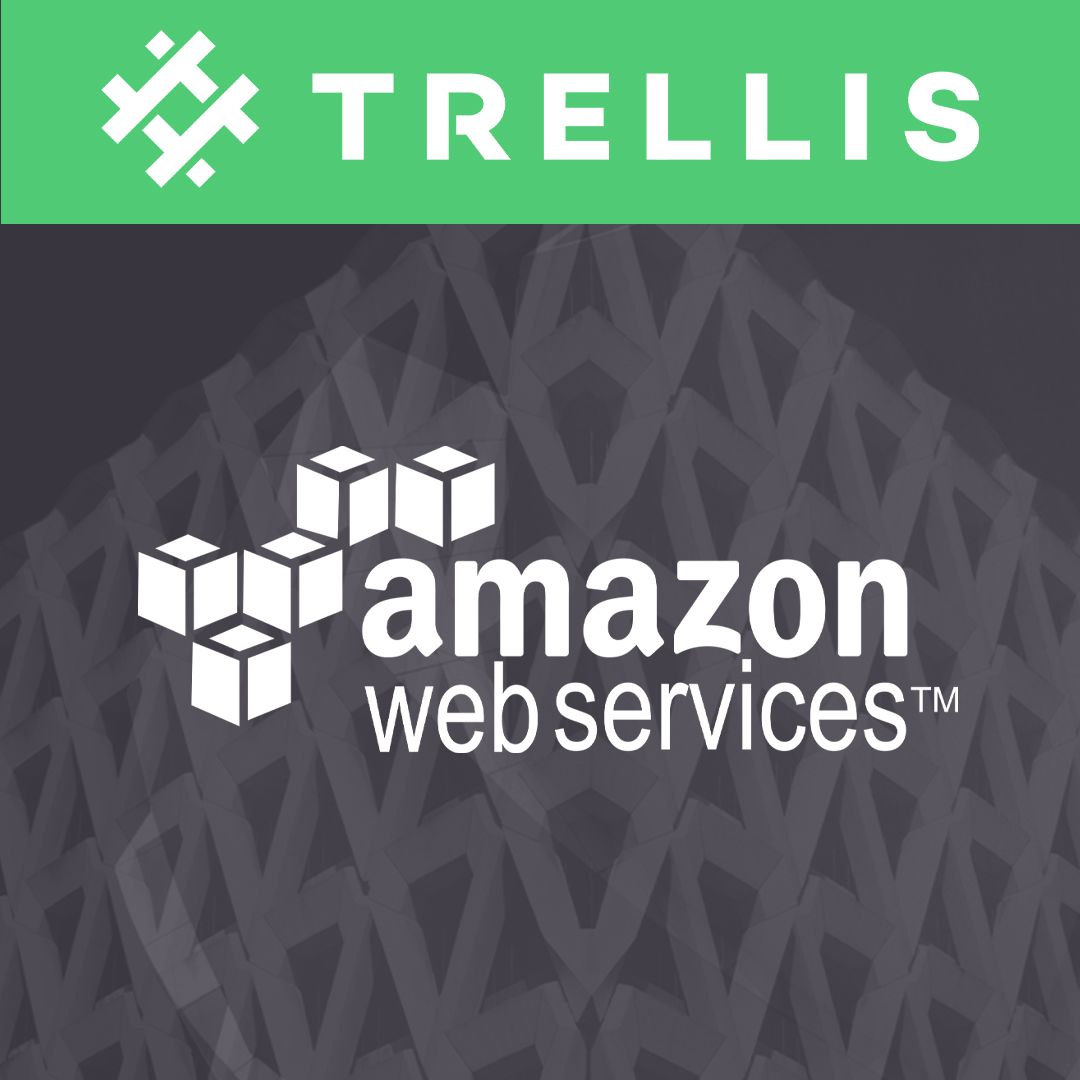 AWS Managed Hosting