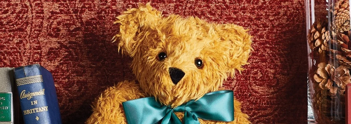 vermont_teddy_bear_banner