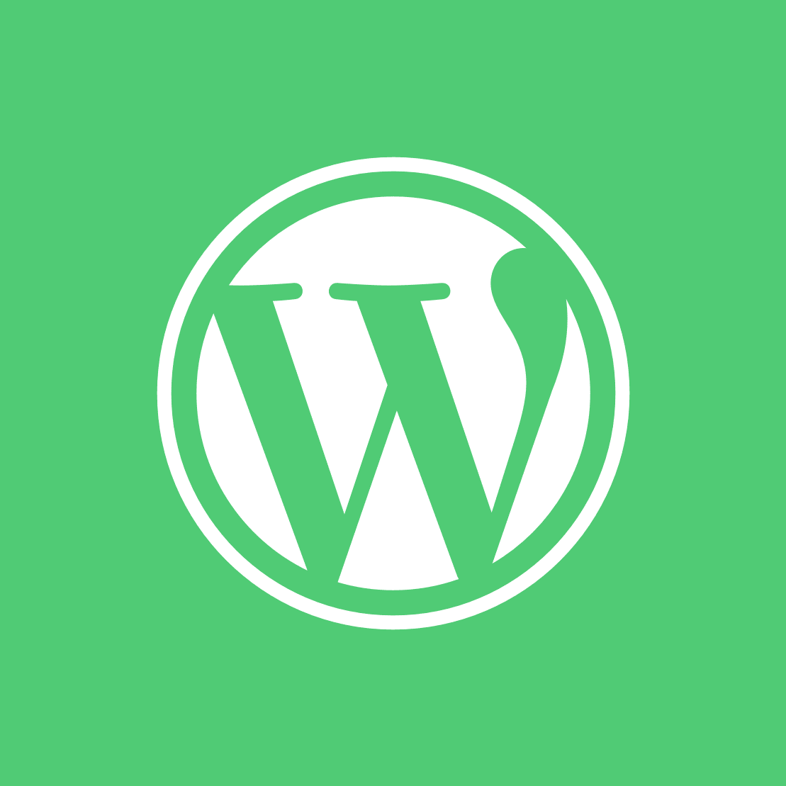 WORDPRESS PACKAGES ADD-ONS