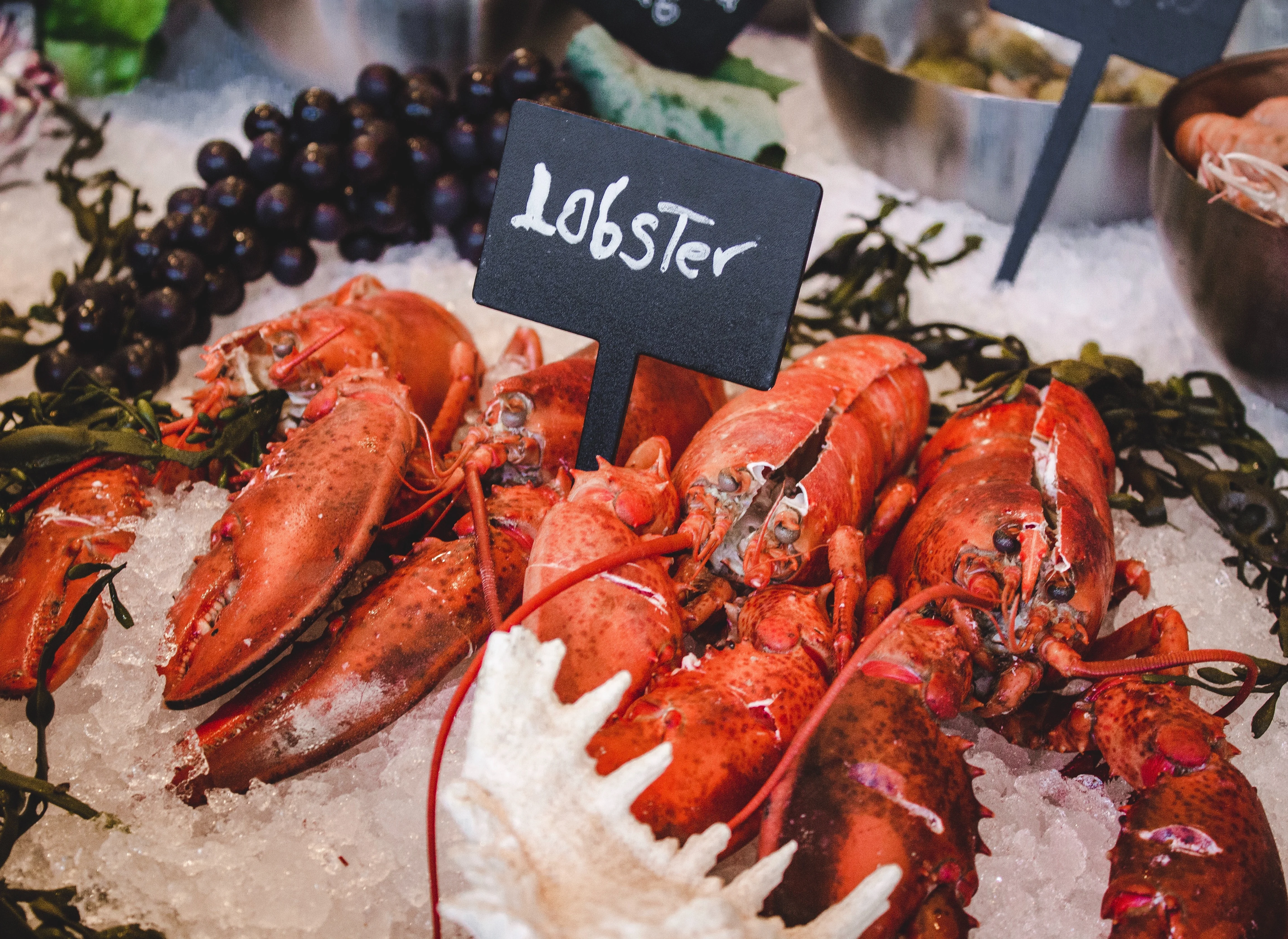 Shopify Projects - Get Maine Lobster
