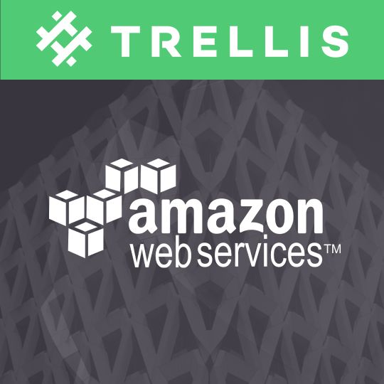 AWS Managed Hosting