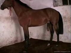 masturbation, fingering, masturbating, teasing, teas, jerks, jerk, rubbing, jerking, jerkoff, jerk off, wank, wanker, jacking off, wanking, jack off, orgasm masturbation