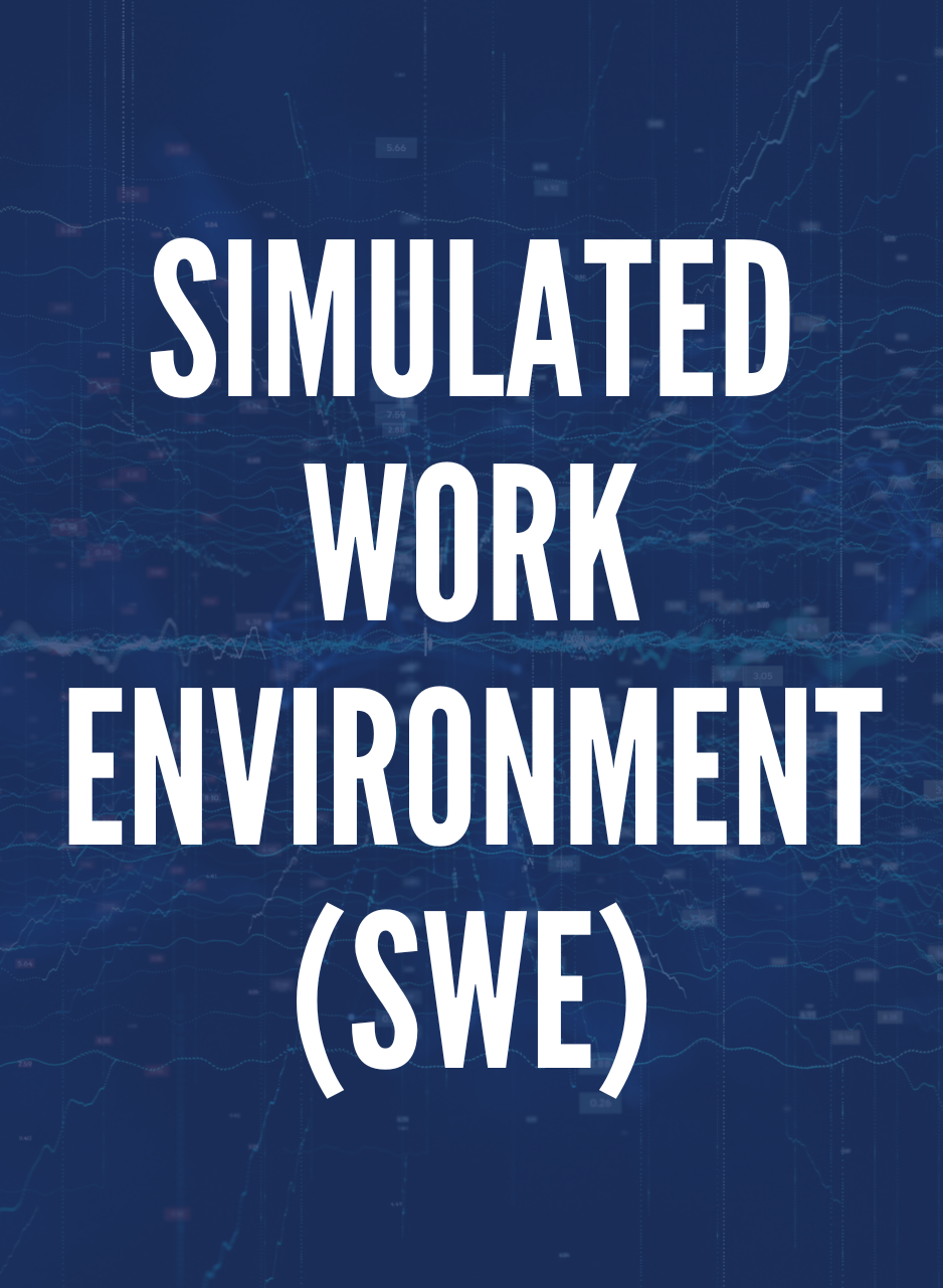 Simulated Work Environment