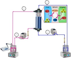 Effective separation of neodymium and lanthanum by single-module hollow fiber supported liquid membrane with P507 as extractant
