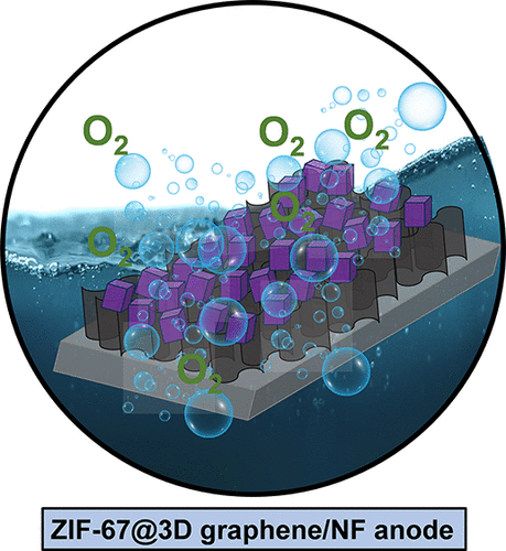 ZIF-67 nanostructures anchored on 3D graphene sheets: a non-noble electrocatalyst for efficient oxygen evolution reaction