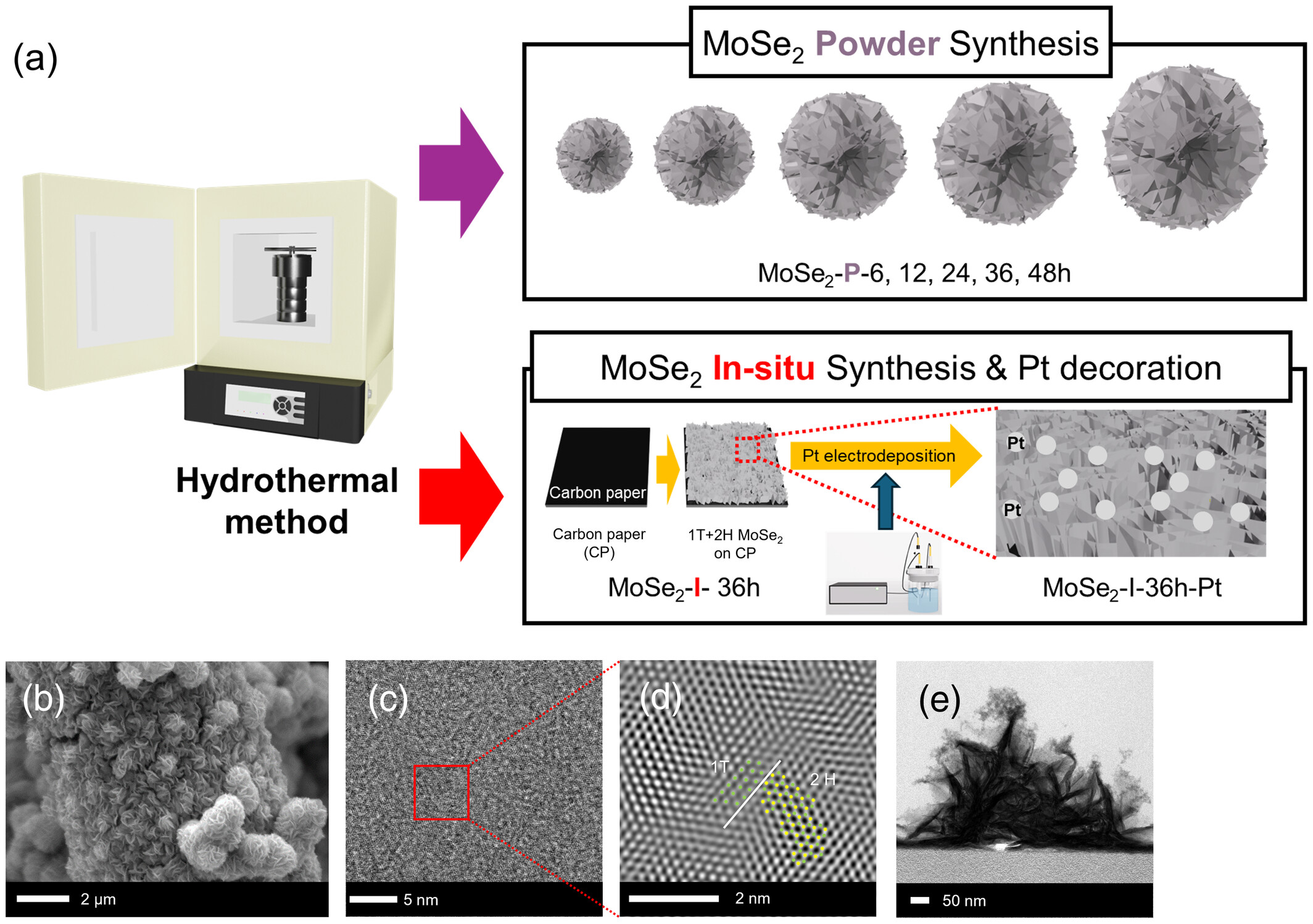 In‐Situ Pt‐Decorated, Direct Growth of Mixed Phase 2H/1T–MoSe2 on Carbon Paper for Enhanced Hydrogen Evolution Reaction
