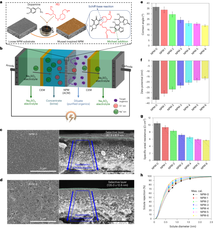 Shielding effect enables fast ion transfer through nanoporous membrane for highly energy-efficient electrodialysis