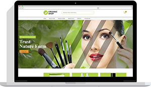 Realizare magazin online produse bio