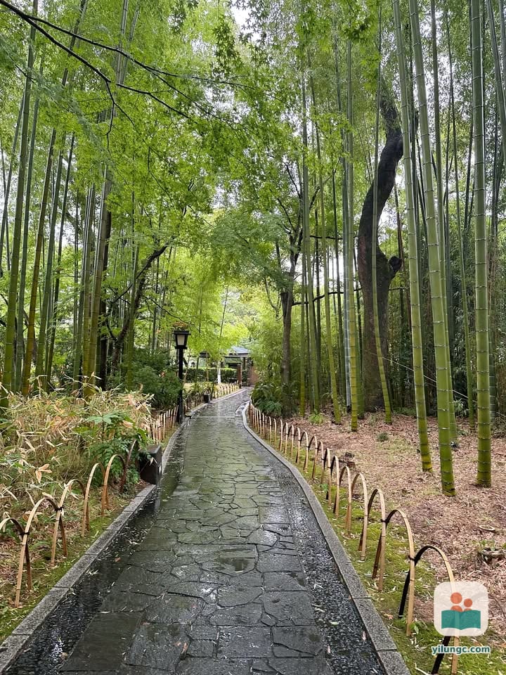 🇯🇵日本包車家族旅行 Day 5 修善寺、天空步道＆大阪OMO7旅館
