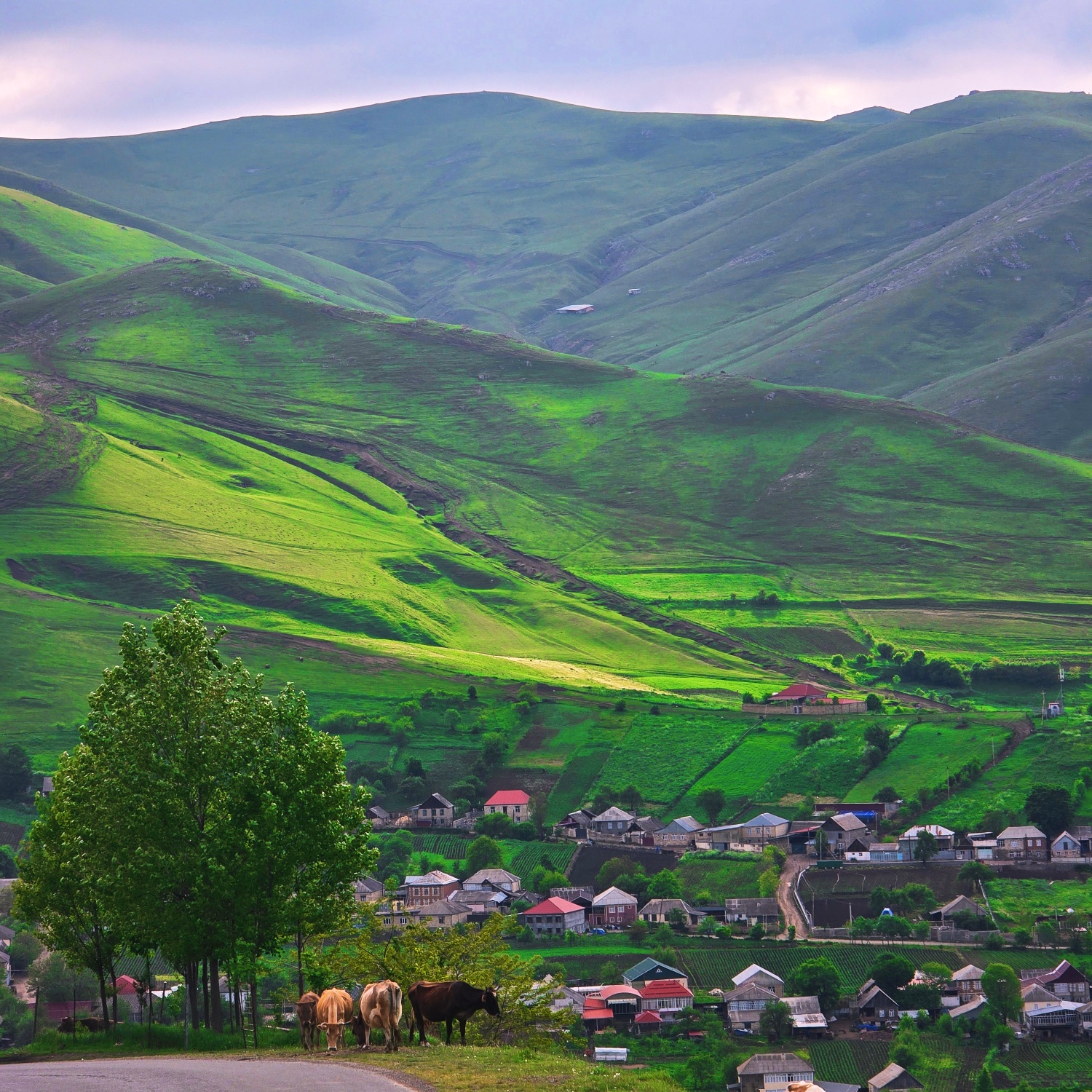 http://res.cloudinary.com/dx15pr9xn/image/upload/v1753455764/gallery/opib8bsprqmlmophsgza.jpg