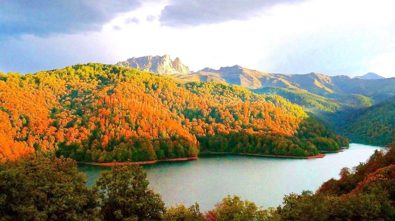 http://res.cloudinary.com/dx15pr9xn/image/upload/v1755200725/gallery/xxwvaa8zal1pvkhhr62p.jpg