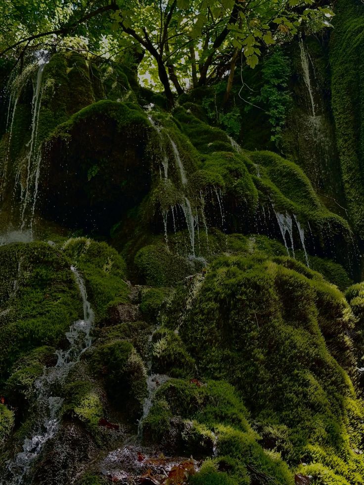 http://res.cloudinary.com/dx15pr9xn/image/upload/v1755202479/gallery/mvldgypapkes6zuqlq8e.jpg