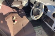 TOYOTA PASSO preview 3