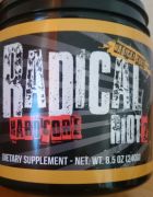 radicalriot2