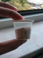 vikingstorm valhalla powder 2