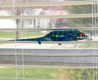 Helicopter Landing