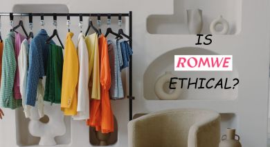 Is Romwe Ethical