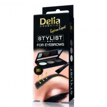 Delia Набор для стилизации бровей Eyebrow Expert