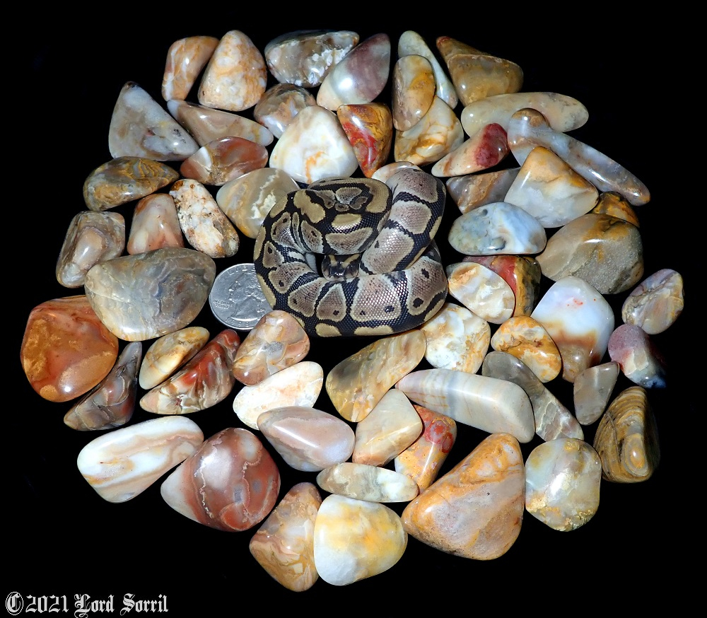 Snakes and Stones Rock Tumbling Hobby