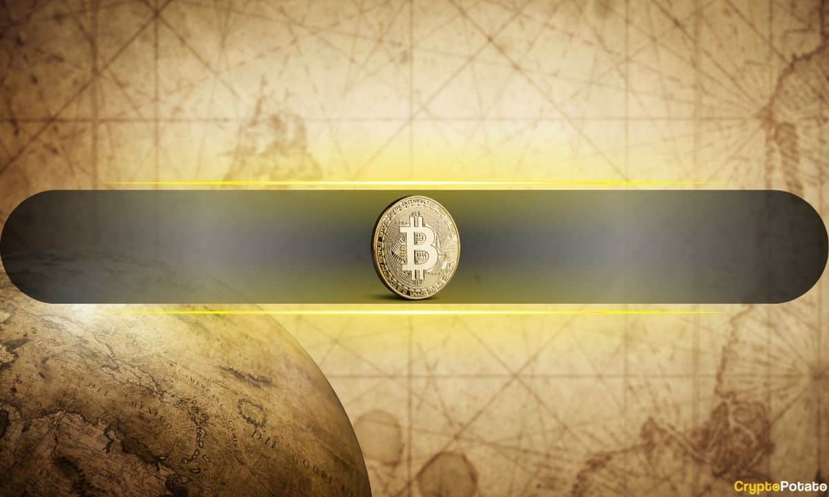 Phân tích báo cáo 