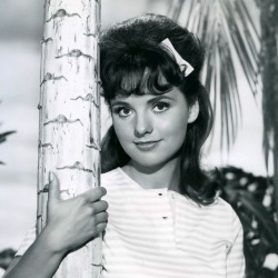 Dawn Wells