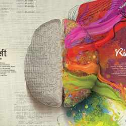 Left Brain
