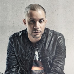 Wildstylez