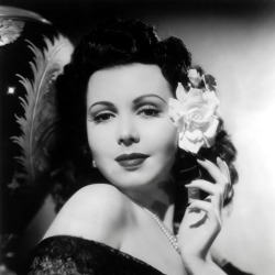 Ann Miller