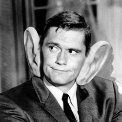 Dick York