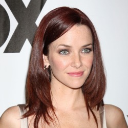 Annie Wersching