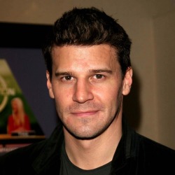 David Boreanaz