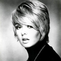 Joey Heatherton