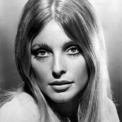 Sharon Tate