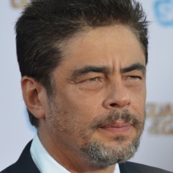 Benicio Del Toro
