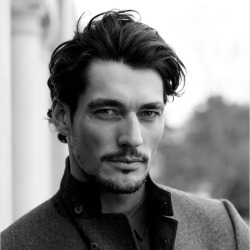 David Gandy