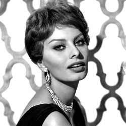 Sophia Loren