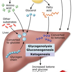 DKA