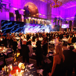 Gala