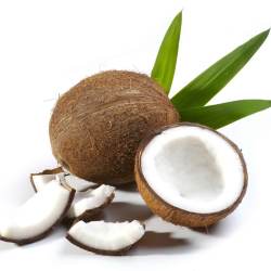 Cocco
