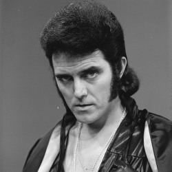 Alvin Stardust