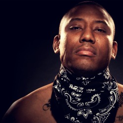 Maino