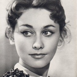 Maya Menglet