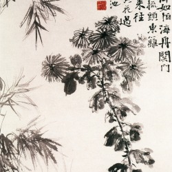 Xu Wei