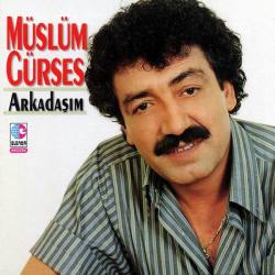 Müslüm Gürses