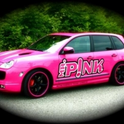 Mr. P!nk