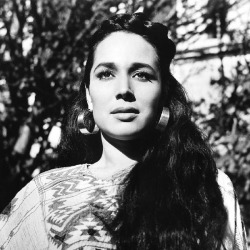 Flor Silvestre