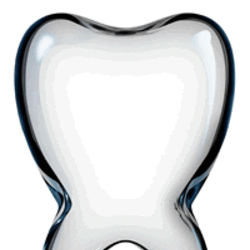 Dente